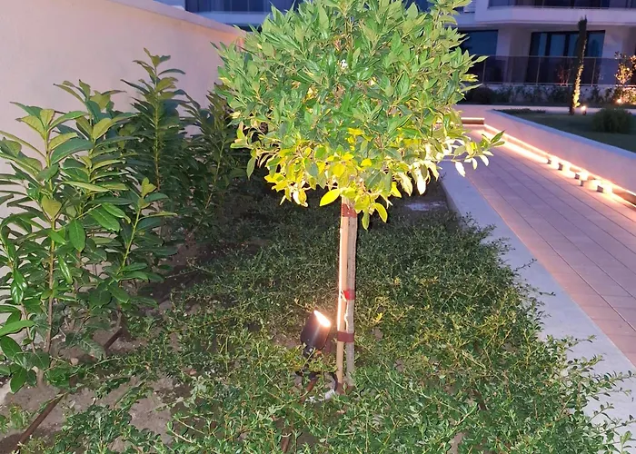 Apartment Dnv 27 Warna